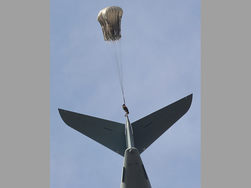 Fotografía ganadora del año 2025